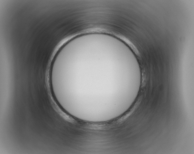 X0000112211086200908071258