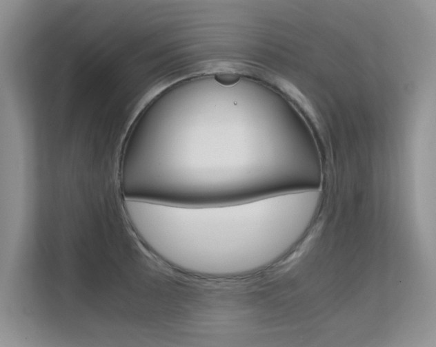 X0000112211089200908071258