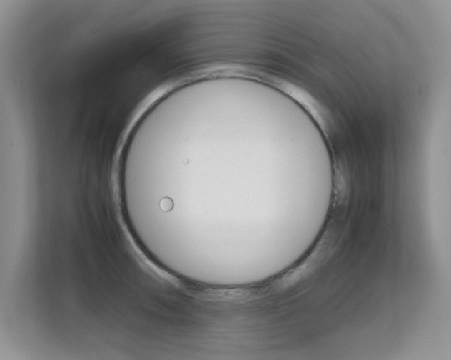 X0000112211090200908071258