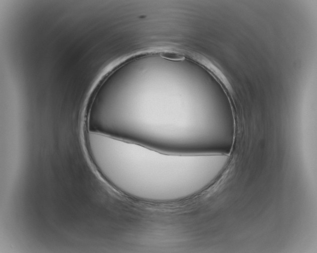 X0000112211093200908071258