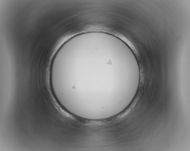 X0000112211094200908071258