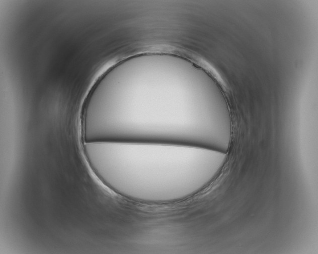 X0000112211095200908071258