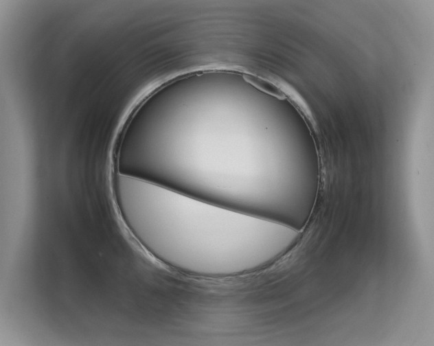 X0000112211096200908071258