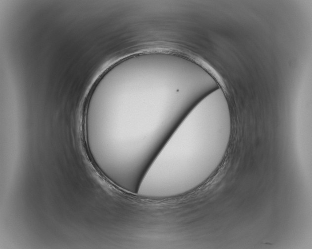 X0000112211099200908071258