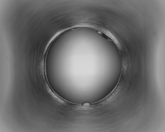 X0000112211100200908071258
