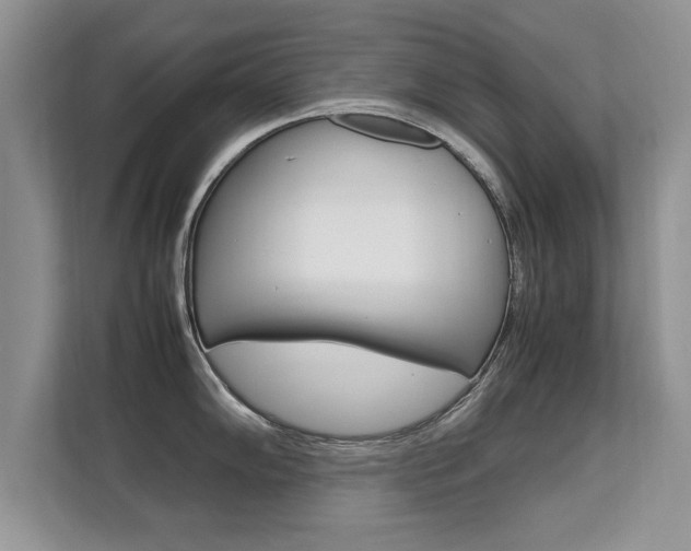 X0000112211102200908071258