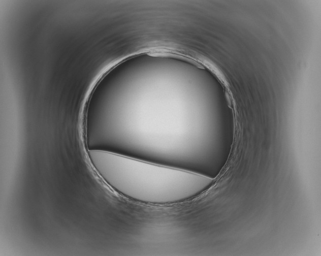 X0000112211104200908071258