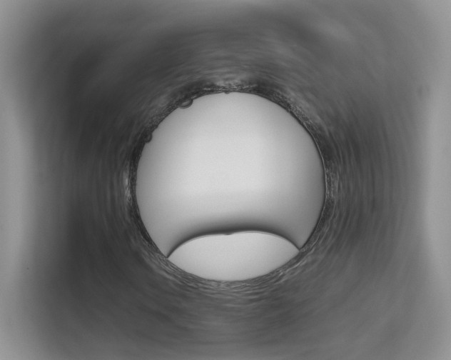 X0000112211106200908071257