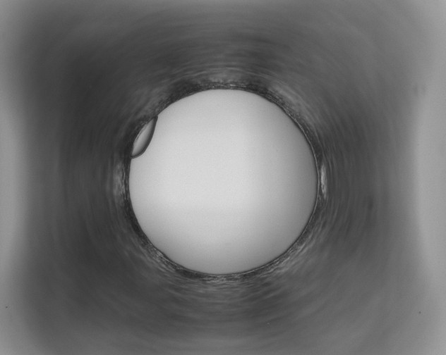X0000112211107200908071257