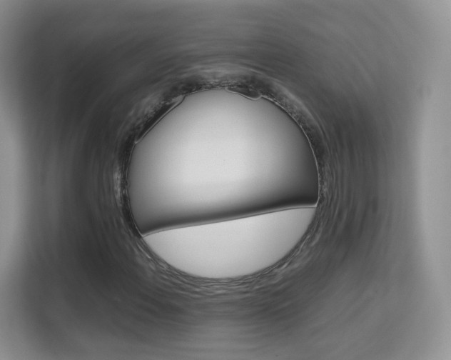 X0000112211108200908071257