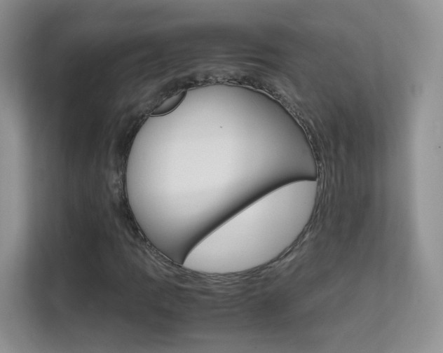 X0000112211109200908071257