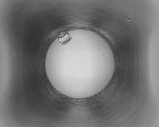 X0000112211110200908071257