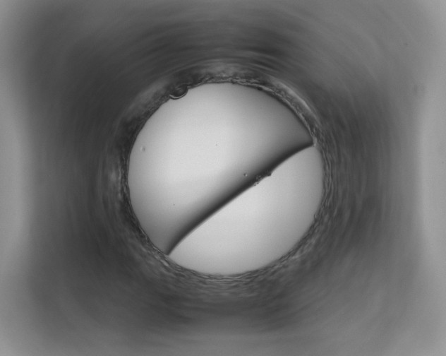 X0000112211111200908071257
