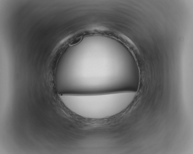 X0000112211112200908071257