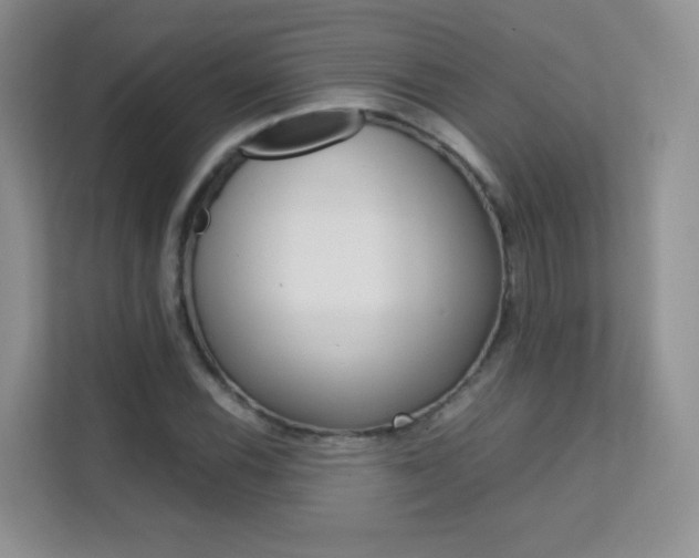 X0000112211116200908071257