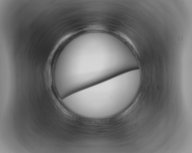 X0000112211123200908071257