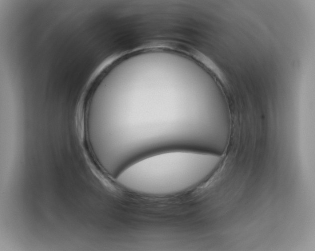 X0000112211127200908071257
