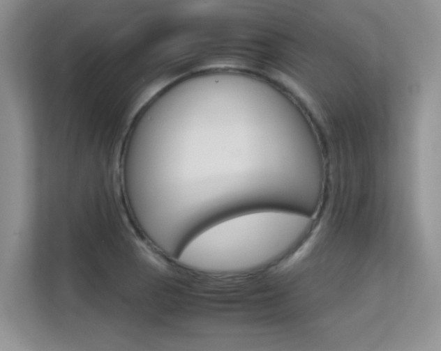 X0000112211129200908071257