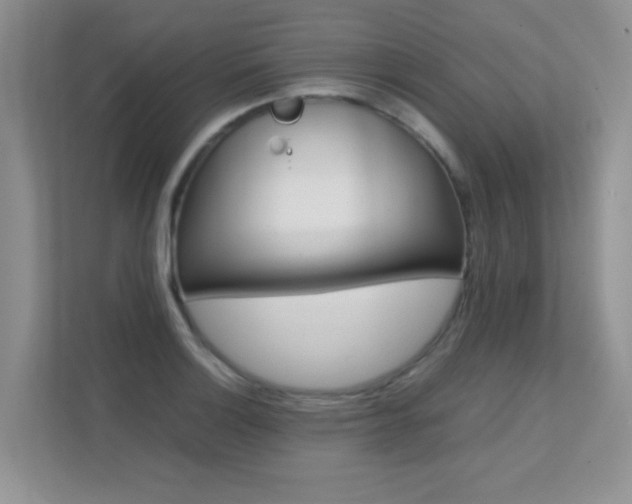 X0000112211132200908071257