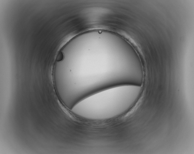 X0000112211137200908071258