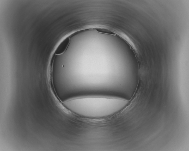 X0000112211140200908071258