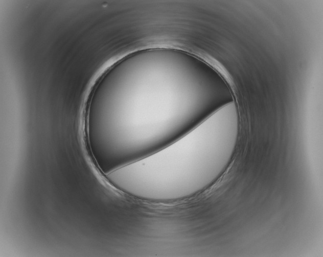 X0000112211144200908071258