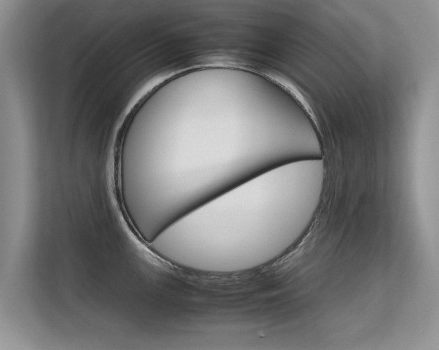 X0000112211147200908071258