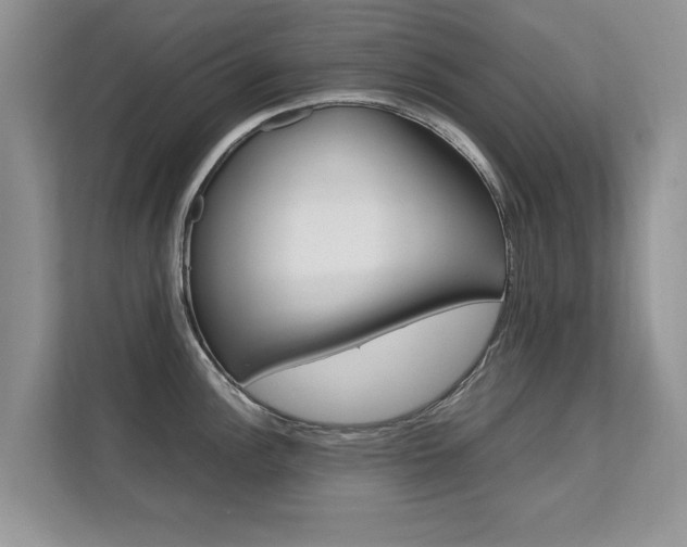 X0000112211148200908071258