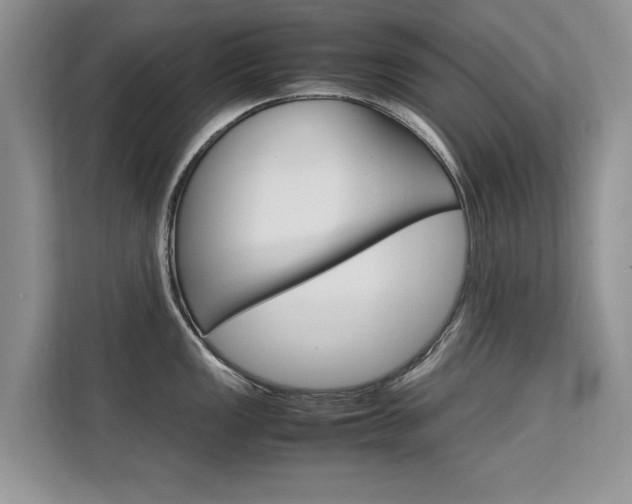 X0000112211149200908071258