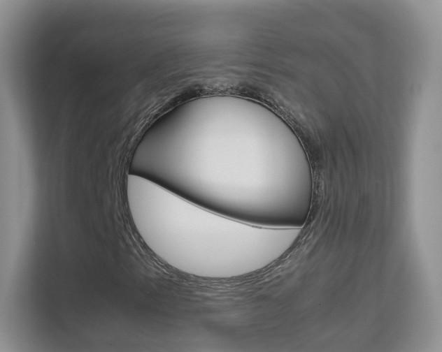 X0000112211153200908071257