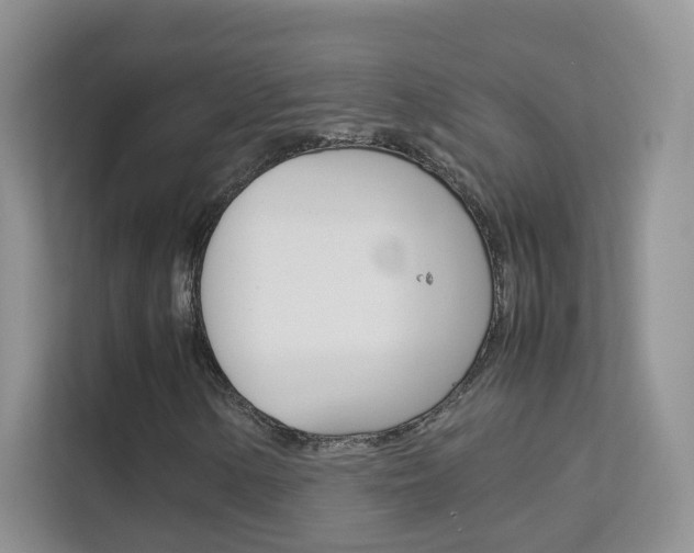 X0000112211154200908071257