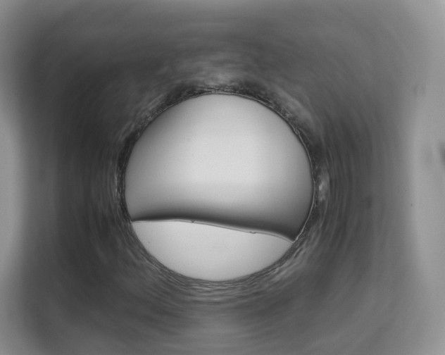 X0000112211156200908071257