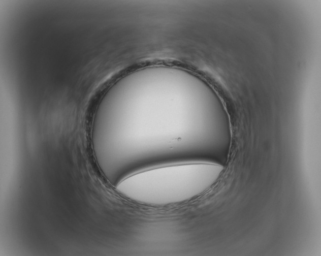 X0000112211159200908071257
