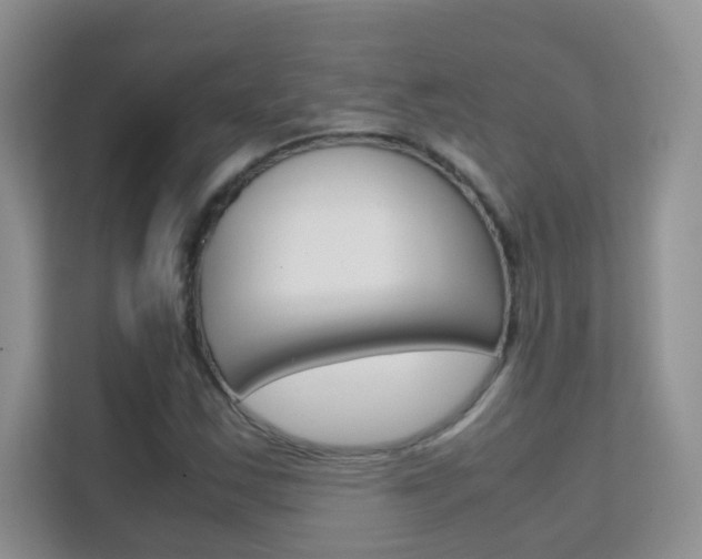 X0000112211163200908071257
