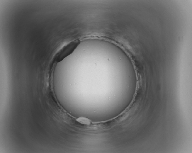 X0000112211165200908071257
