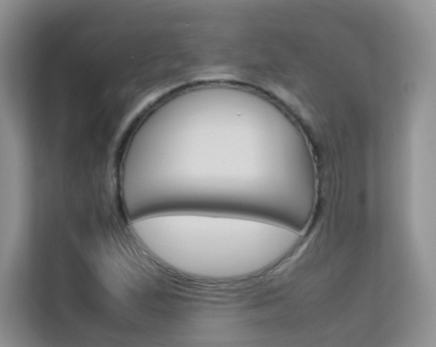 X0000112211167200908071257