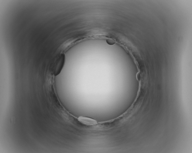 X0000112211169200908071257