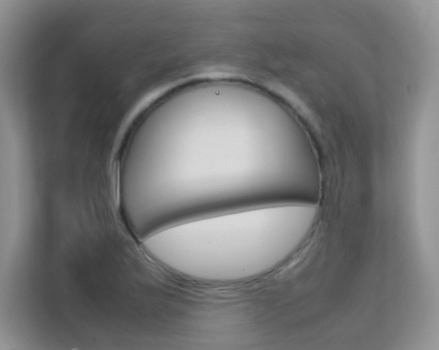 X0000112211175200908071257