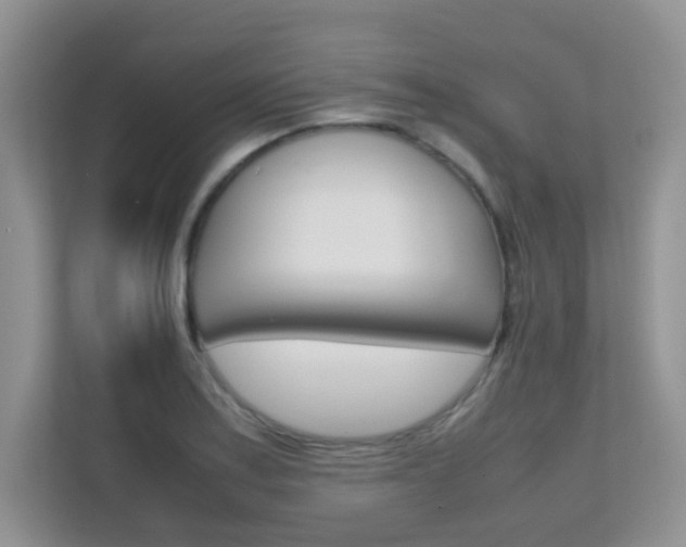 X0000112211179200908071257