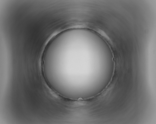X0000112211181200908071257
