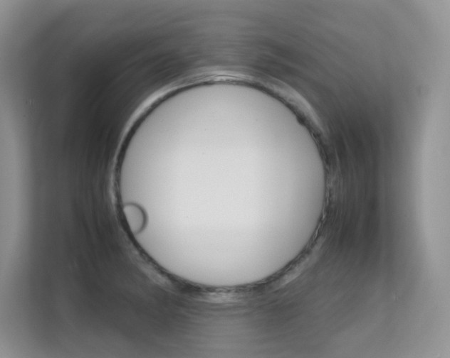 X0000112211182200908071257