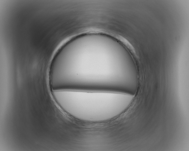 X0000112211183200908071257