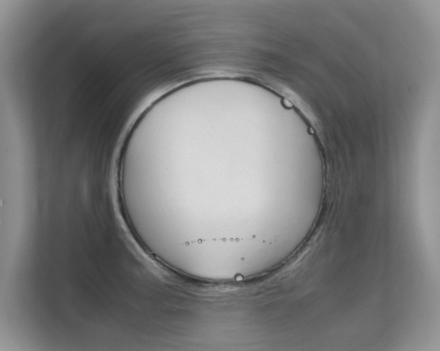 X0000112211187200908071257