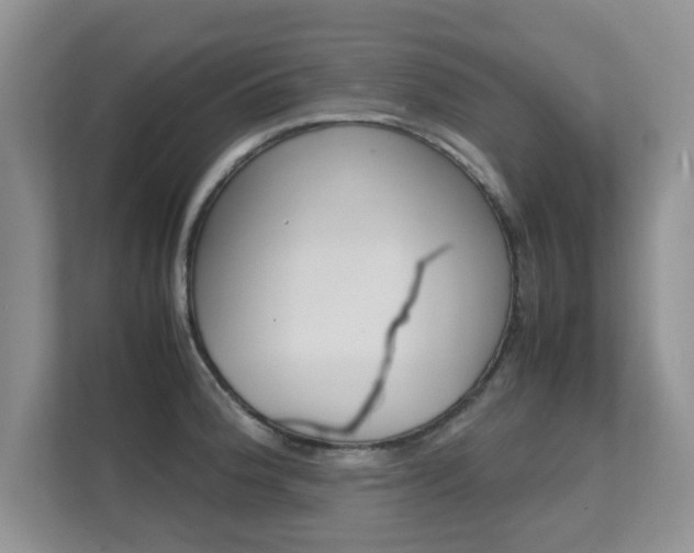 X0000112211188200908071257