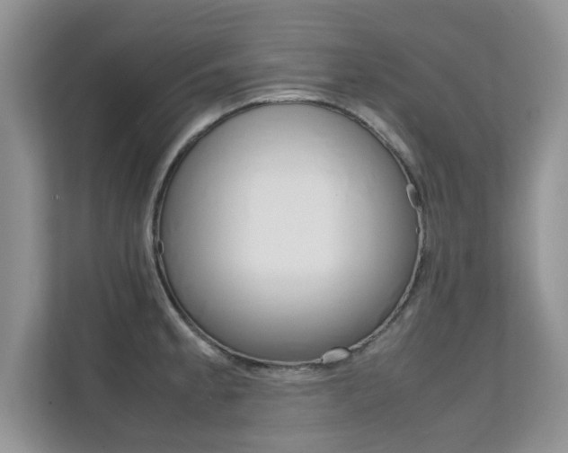X0000112211189200908071257