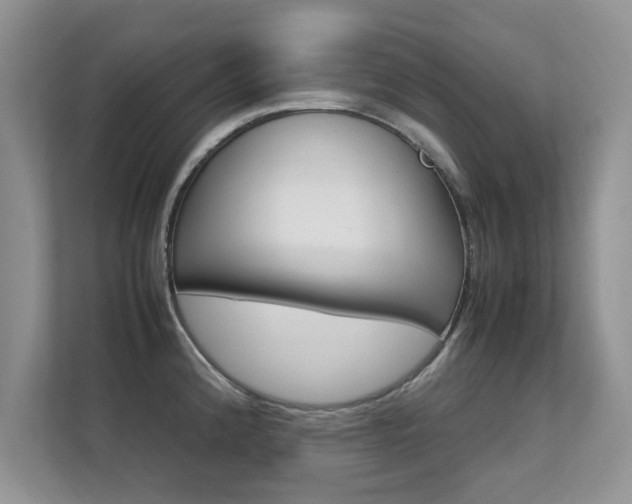 X0000112211192200908071257