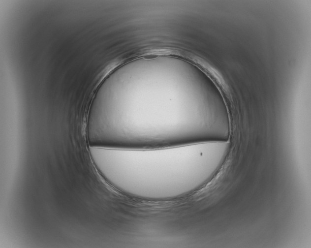 X0000112211193200908071257
