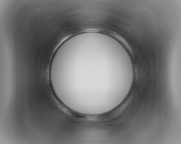 X0000112211194200908071257