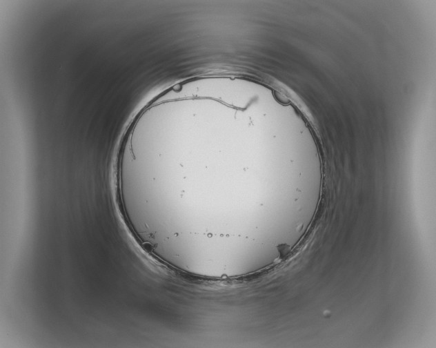 X0000112211195200908071257