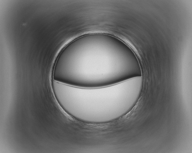 X0000112211197200908071257